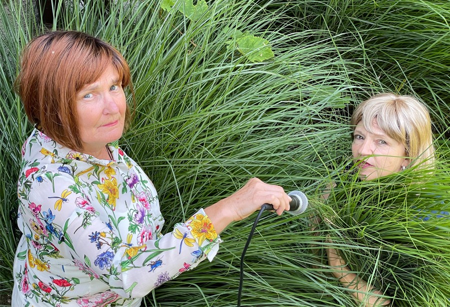 IRRE WELLE Portraitbild